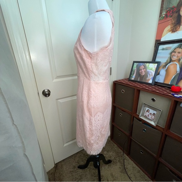 BB Dakota Lace Halter Dress Blush Pink Sz 4 - Picture 7 of 17